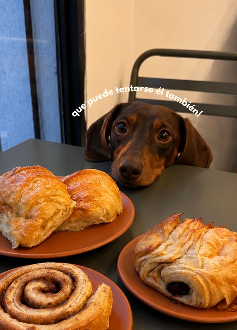 Historia de Instagram de una panadería: facturas en la mesa y un perro asomándose.